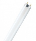 Лампа люмінісцентна PHILIPS 36W/54-765 (1200мм)